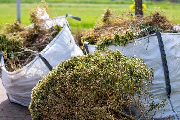 Best Junk Removal Near Me  in Oronoco, MN