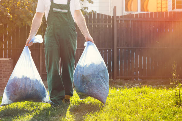 Best Affordable Junk Removal Services  in Oronoco, MN