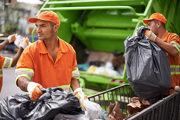 Best Electronics Removal Services  in Oronoco, MN